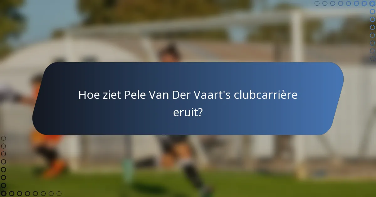 Hoe ziet Pele Van Der Vaart's clubcarrière eruit?